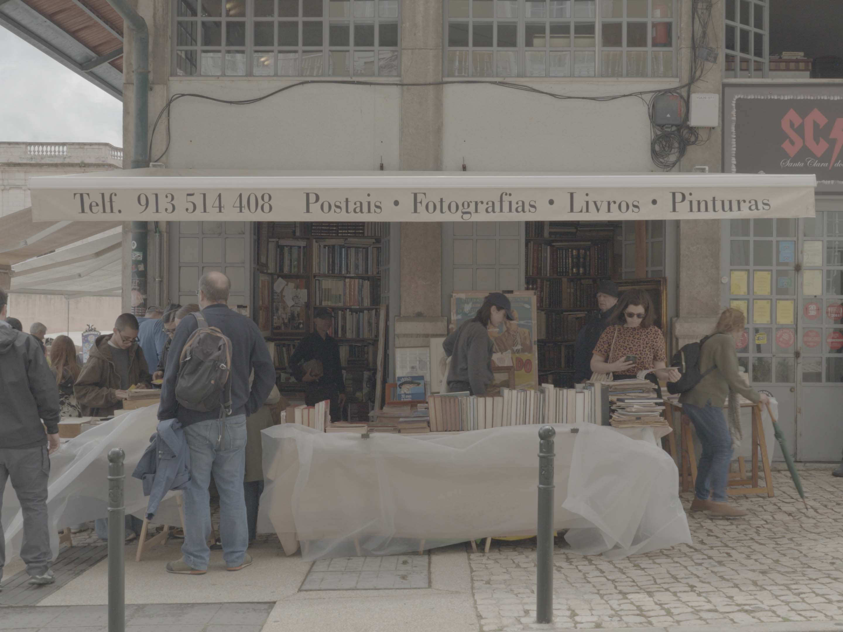 Fuji 3513 Green: original ungraded footage
